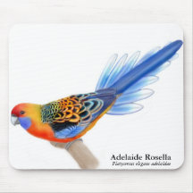 Adelaide Rosella Parrot Mousepad
