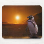 Adelie Penguin & Antarctic Sunset Mousepads
