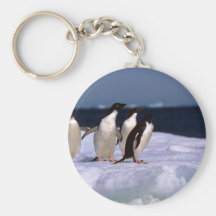 Adelie Penguins Key Chains
