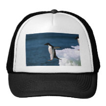 Adelie Penguins Trucker Hat