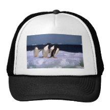 Adelie Penguins Trucker Hats
