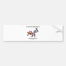 Adenosine Triphosphate (ATP) Energy For Life Bumper Sticker