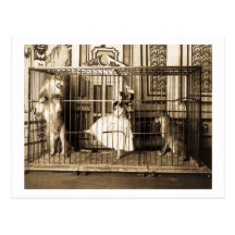 Adgie and Her Trained Lions1897 Post Card