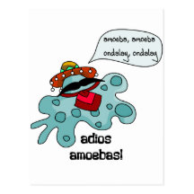Adios Amoebas Post Card