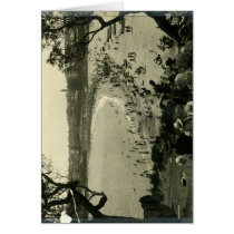 Admiring Coogee Beach c.1940 Greeting Cards
