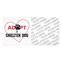 Adopt a Shelter Dog Picture Card