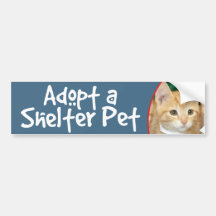 Adopt a Shelter Pet Orange Tabby Kitten Bumper Stickers