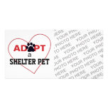 Adopt a Shelter Pet Photo Cards