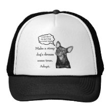 Adopt A Stray Hat