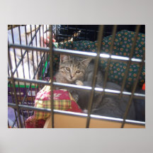 Adopt Me Posters