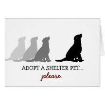 "Adopt... please." Card