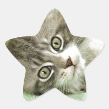 Adorable Cute Grey Tabby Kitten Paw Play Tapping Star Sticker