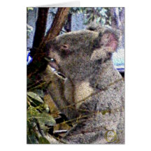 Adorable Koala Greeting Cards