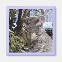 Adorable Koala Magnets