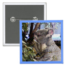 Adorable Koala Pin