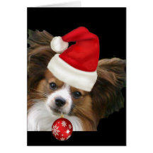 Adorable Papillon  dog in a Santa hat Cards