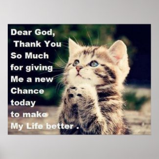 Christian Poster: Adorable Praying Kitten