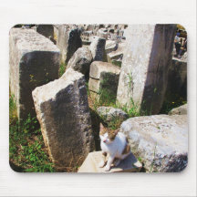 Adorable stray cat living in the ruins of Ephesus Mousepad