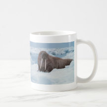 Adorable Walrus Coffee Mugs