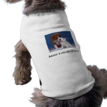 Adotar Camisetas Para Cães