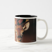 Adult Giraffe with calf (Giraffa camelopardalis) Coffee Mugs