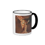 Adult Giraffe with calf (Giraffa camelopardalis) Mugs