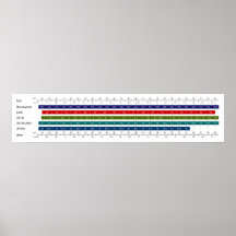 Adult Men's Shoe Size Comparison Chart Print