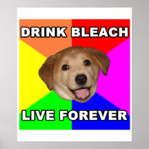 Advice Dog Print