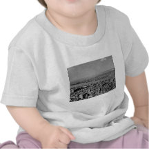 Aerial View from the Empire State Building Vintage T Shirts