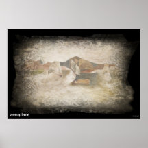 aeroplane posters