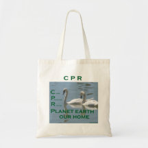 Affordable environment friendly tote Bag