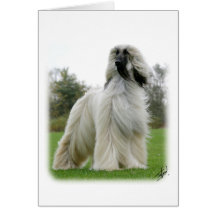 Afghan Hound 9Y247D-025 Greeting Card