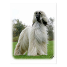 Afghan Hound 9Y247D-025 Post Cards
