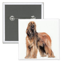 Afghan Hound Pinback Button