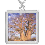Africa, Botswana, Okavango Delta. Baobab Personalized Necklace