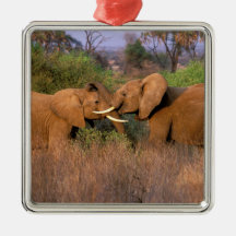 Africa, Kenya, Samburu. Elephant challenge Christmas Ornaments