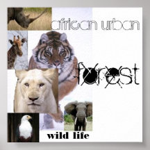 africa urban, wild life, forest print