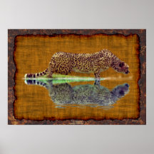 African Cheetah Drinking at Waterhole Big Cat Art Poster