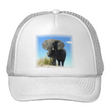 African Elephant Baseball Hat