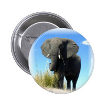 African Elephant Round Pin