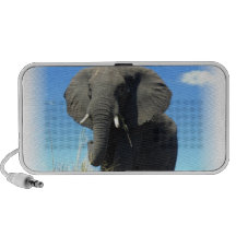 African Elephant Speakers