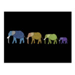African Elephants Postcard