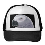 African Grey Hat