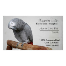 African Grey Parrot Business Card