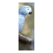 African Grey Parrot Portrait Bookmark Cards Business Card Templates