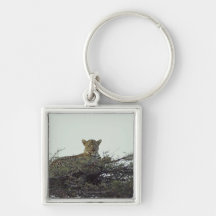 African leopard key chains