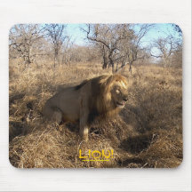 African Lion Photo Wildlife Mousepad