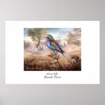 African Roller Poster