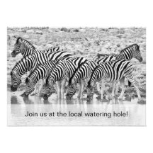 African Safari Zebra Funny Birthday Invitation