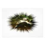 African Side Necked Turtle in a burst frame Personalized Invitations